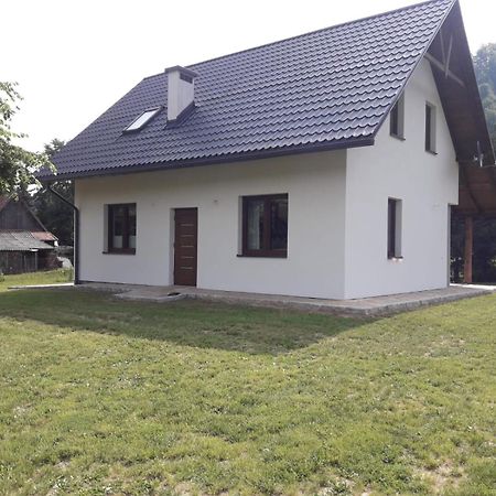 Apartament Pod Lipka Lutowiska Esterno foto