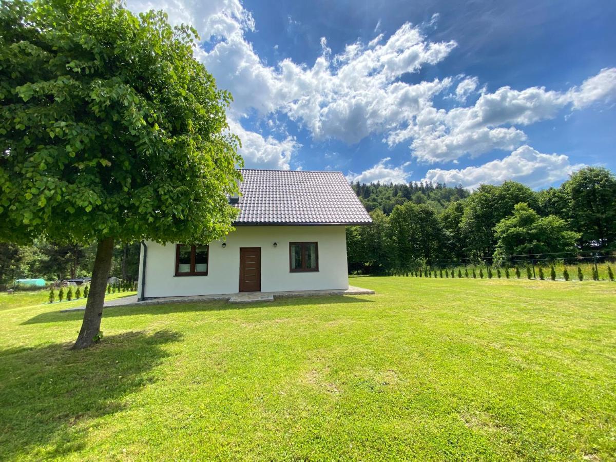 Apartament Pod Lipka Lutowiska Esterno foto